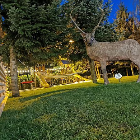 Popasul Lu' Voda Borşa Εξωτερικό φωτογραφία