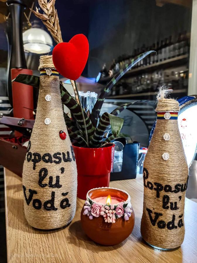 Popasul Lu' Voda Borşa Εξωτερικό φωτογραφία
